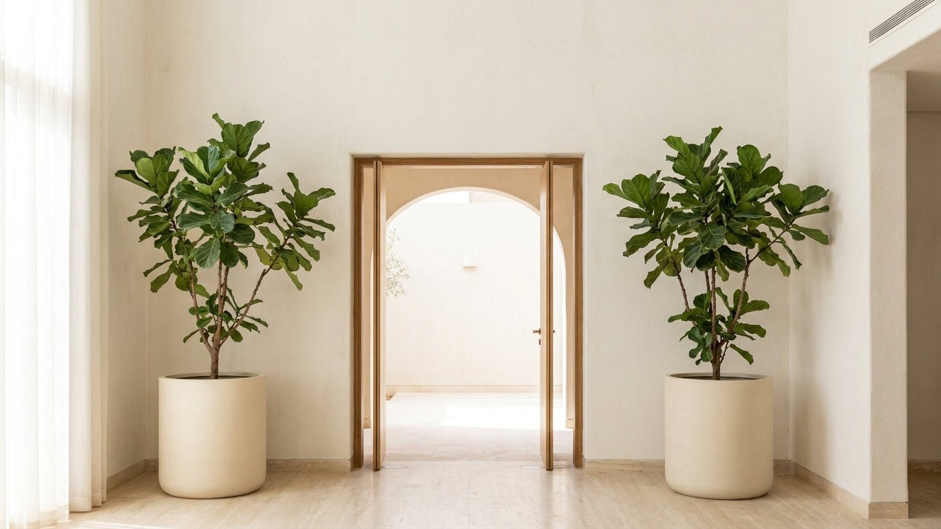 Choosing the Right Planter Material for Riyadh Homes - Bostan