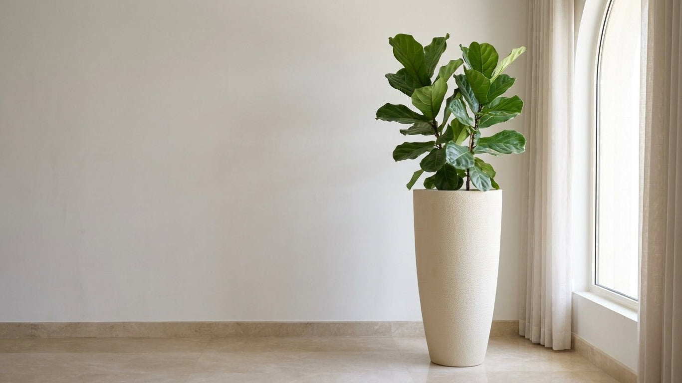 The Art of Pairing: Plants & Premium Planters from Capi Europe and Luca Lifestyle - Bostan