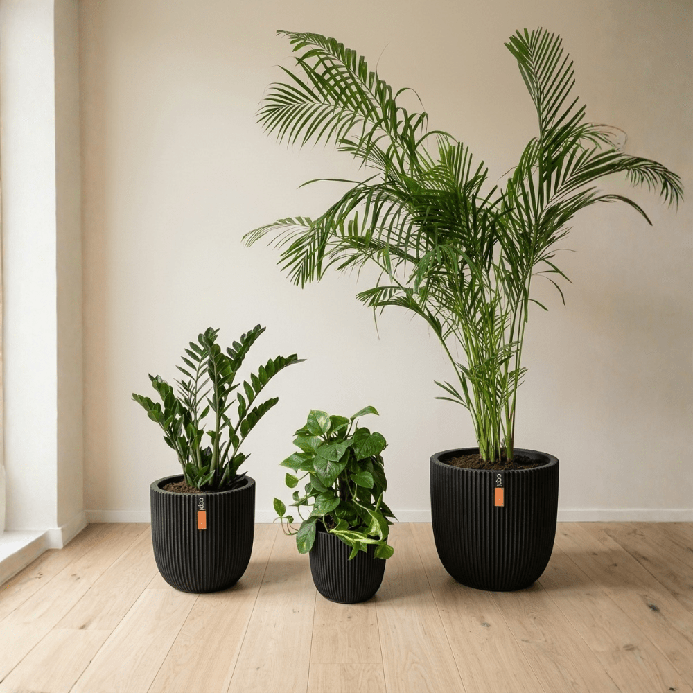 1 Bedroom Set - Bostan Al Jazeera