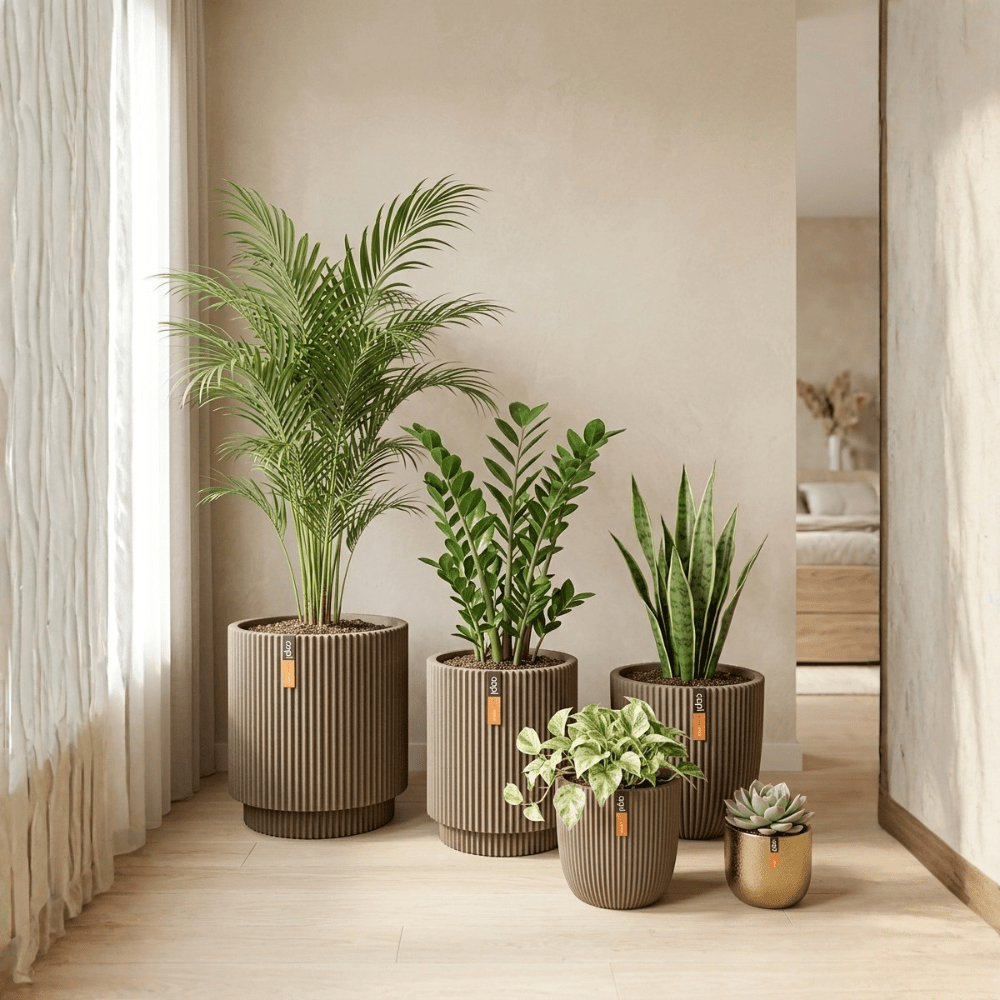 2 Bedroom Set - Bostan Al Jazeera