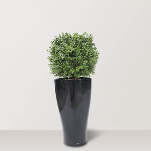 Artificial Box Wood Ball in VASO Pot-Black