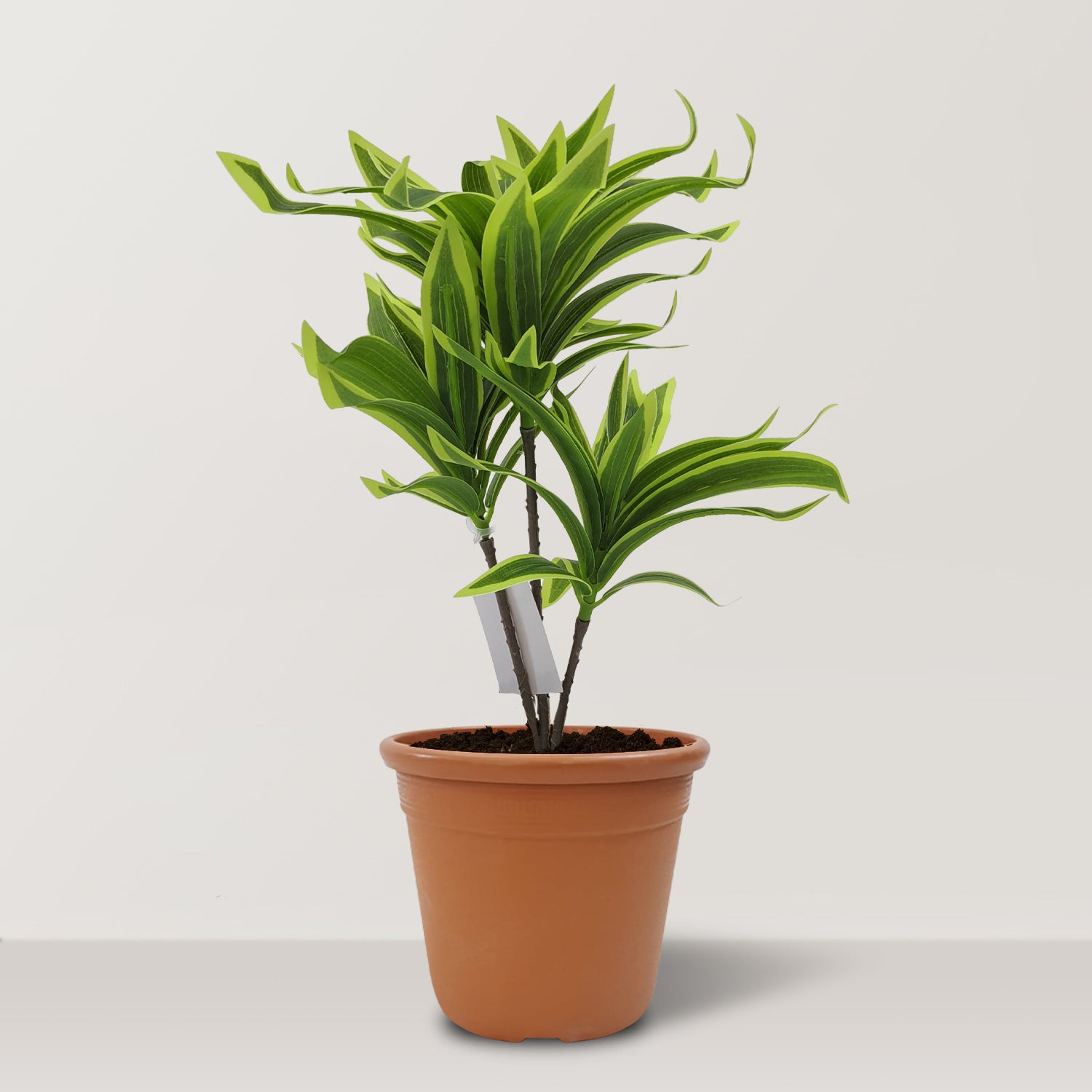 Artificial Mini Dracaena with plastic pot