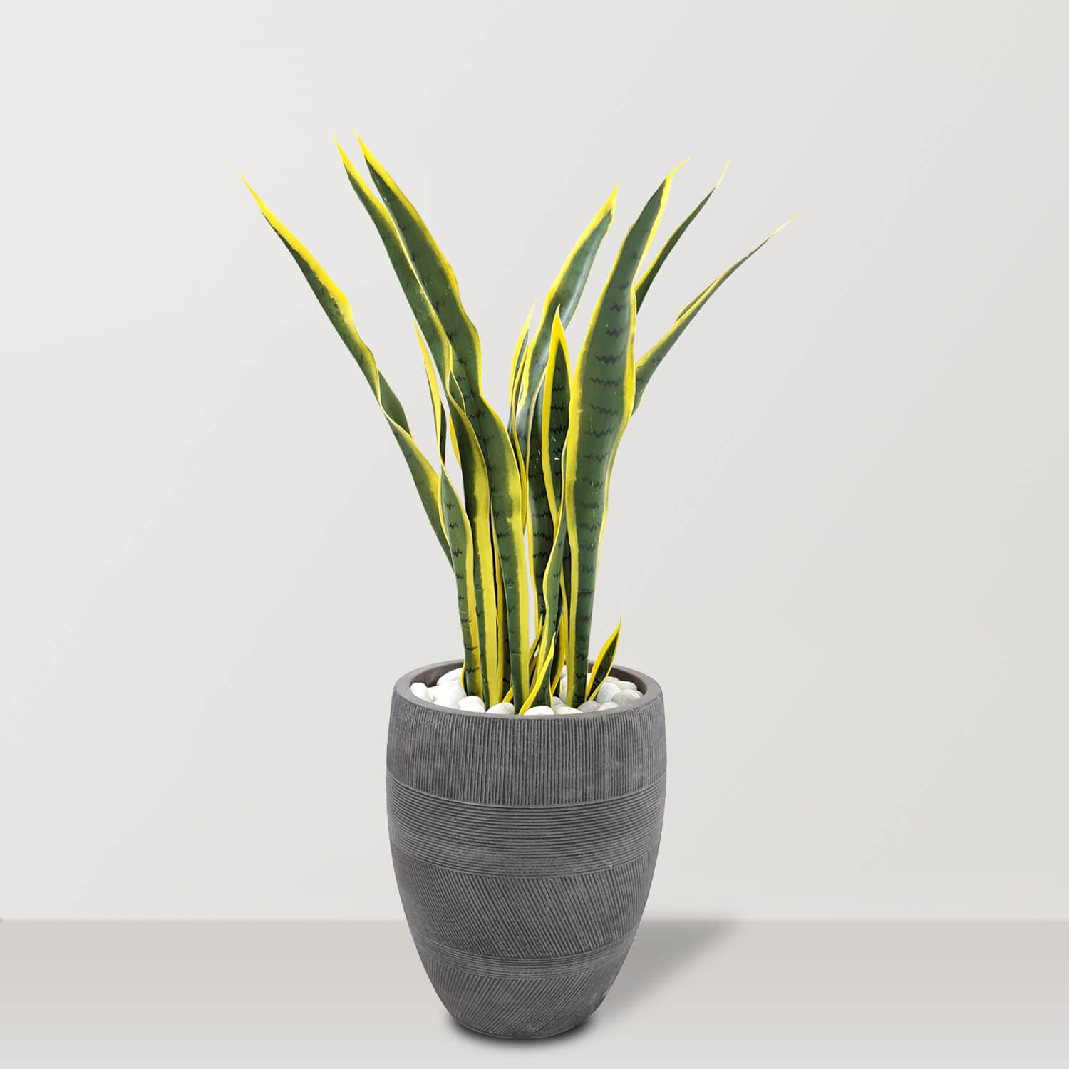 Artificial Snake Plant in Fiber Clay Pot