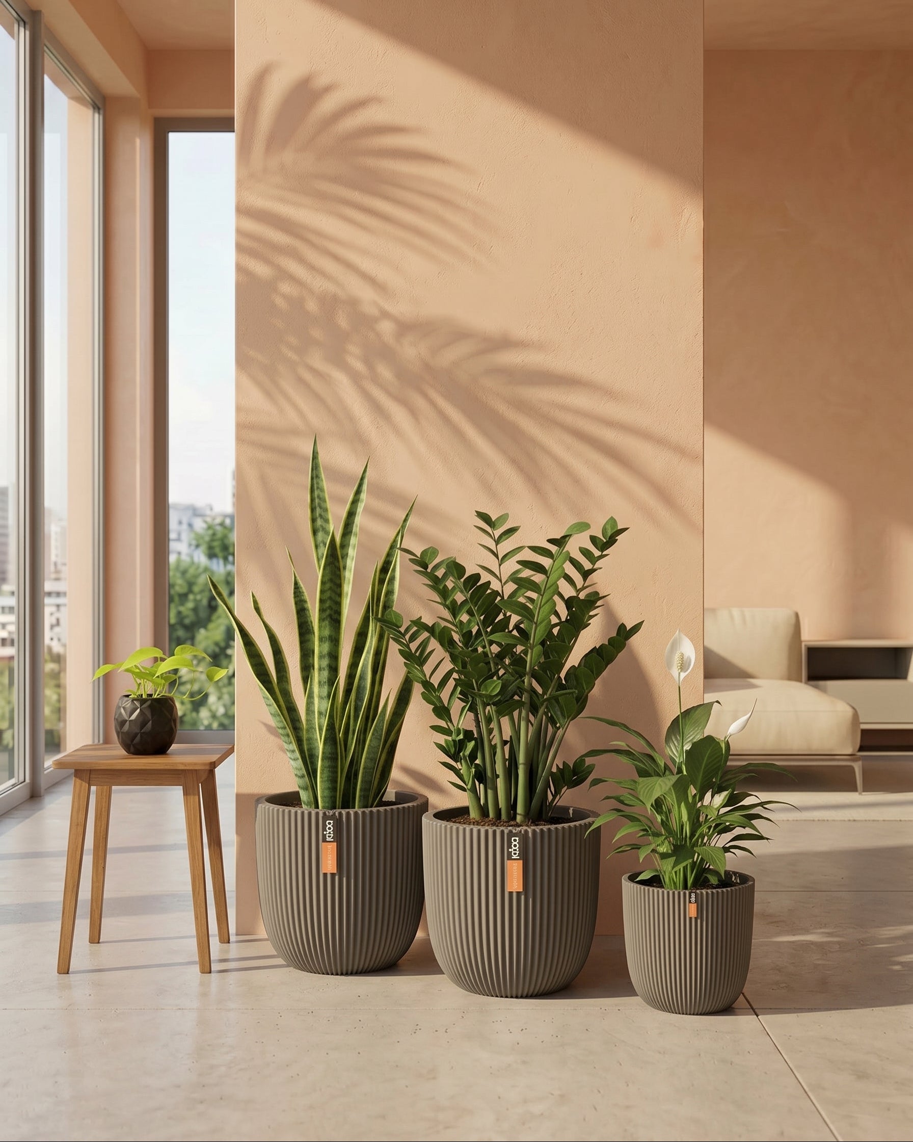 Three potted plants in a modern living room with a neutral color palette.