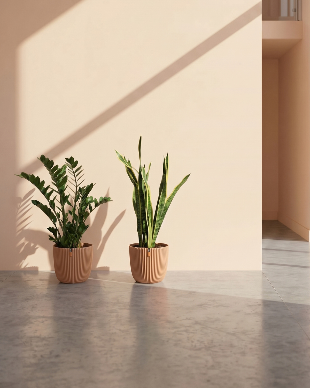 Two potted plants on a reflective surface with a neutral background