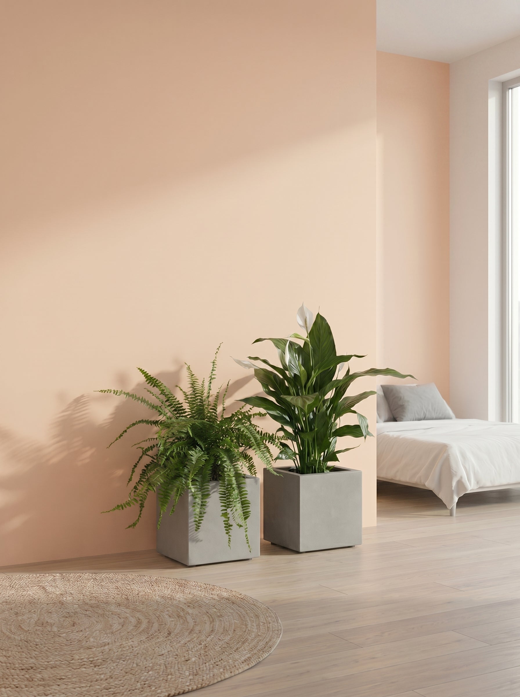 Two potted plants in a room with a bed and pink wall.