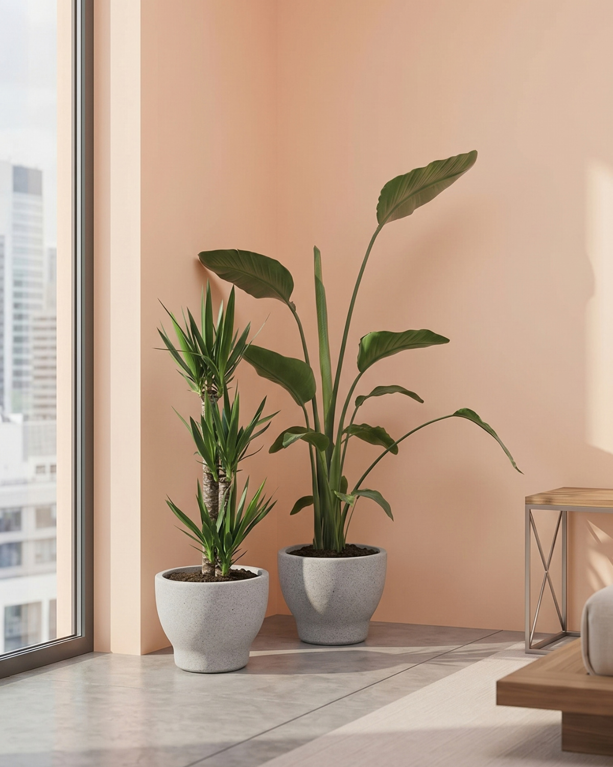 Two potted plants in a modern interior setting with a cityscape view.
