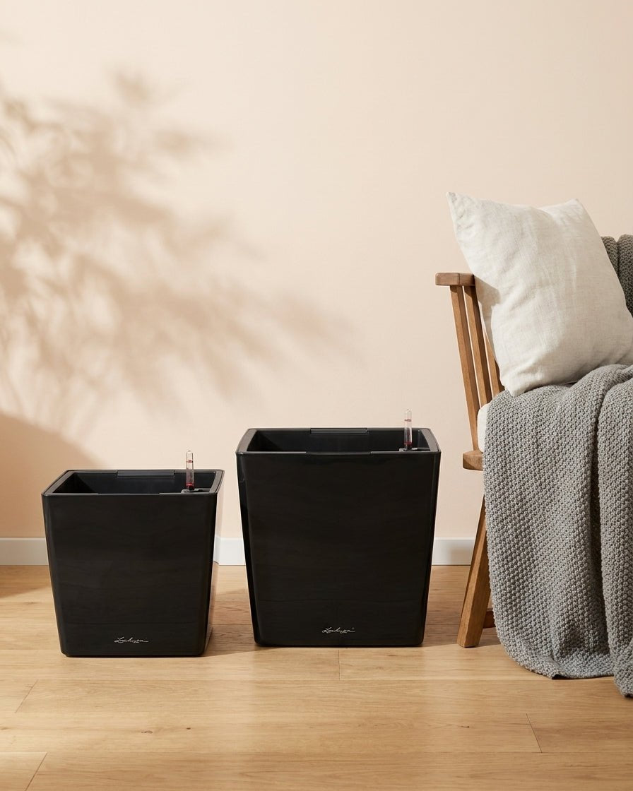Aqua cube Self watering Pots - Bostan