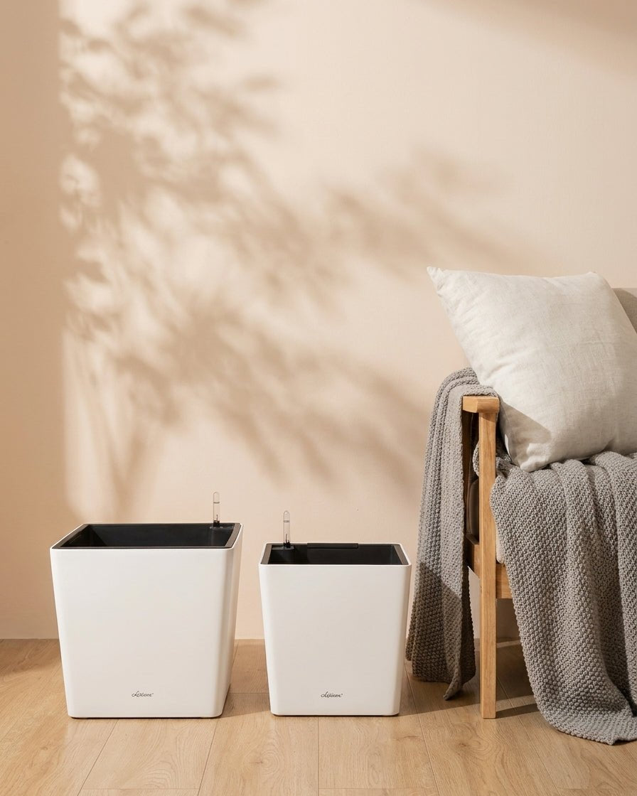 Aqua cube Self watering Pots - Bostan