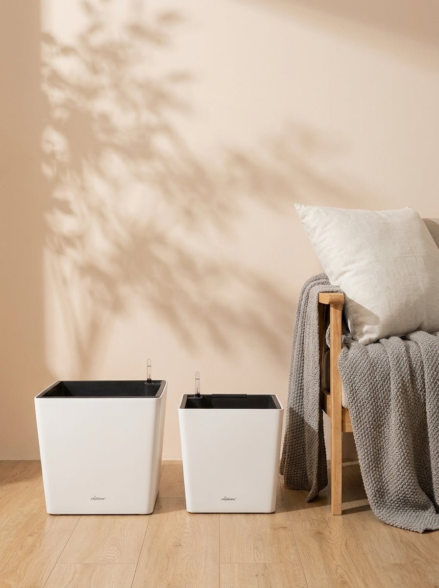 Aqua cube Self watering Pots - Bostan