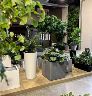 Argento Cube - Bostan Al Jazeera