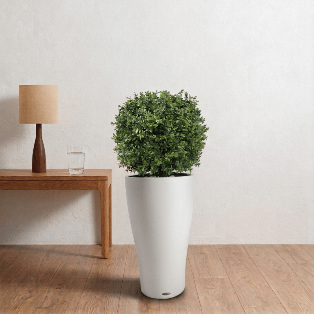 Artificial Box Wood Ball in VASO Pot - Bostan