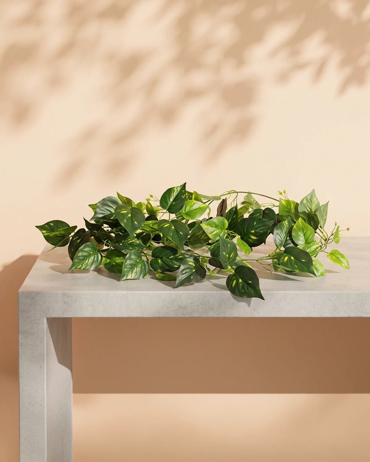 Artificial evergreen vine 001 - 220cm - Bostan