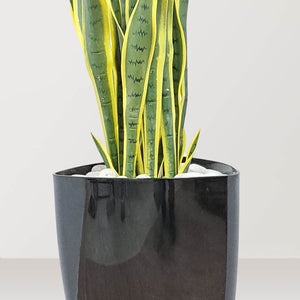 Artificial Snake Plant in VASO Pot - Bostan Al Jazeera