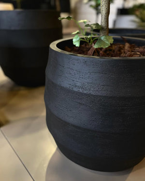 Bordo Balloon - Bostan Al Jazeera