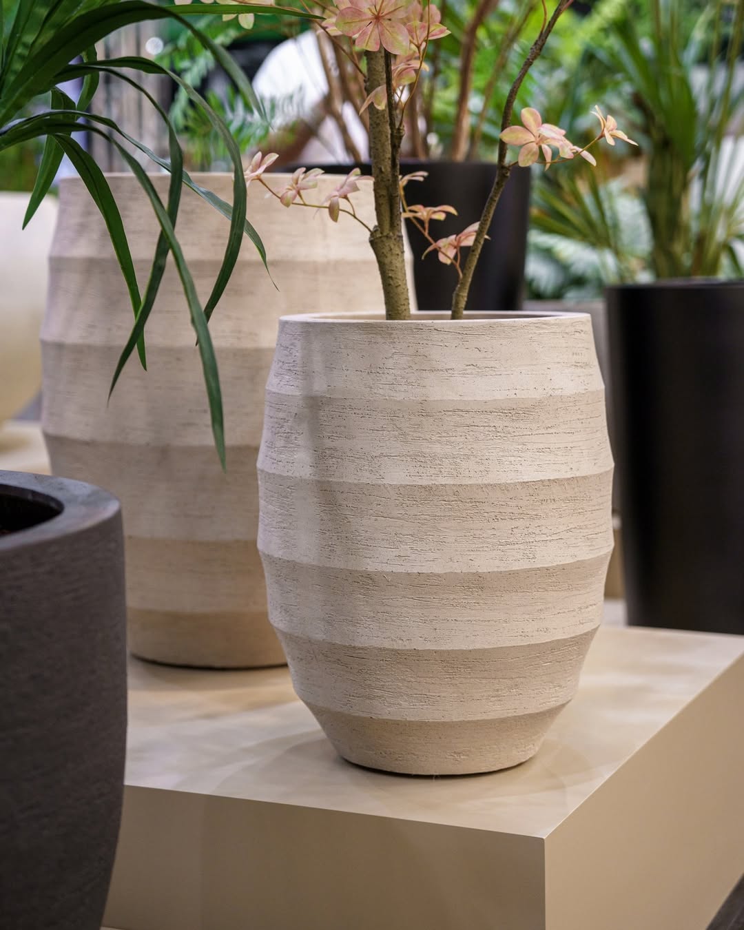 Bordo Tall Balloon - Bostan Al Jazeera