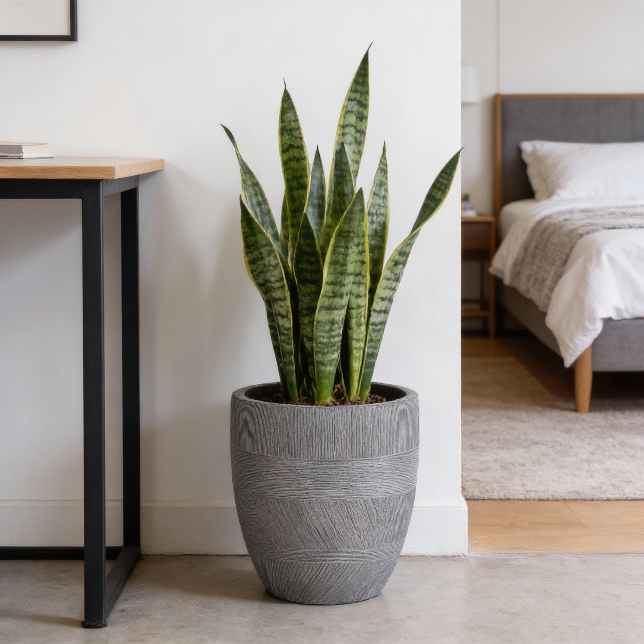 Fiber clay Pot LT14492 - 3S - Bostan Al Jazeera