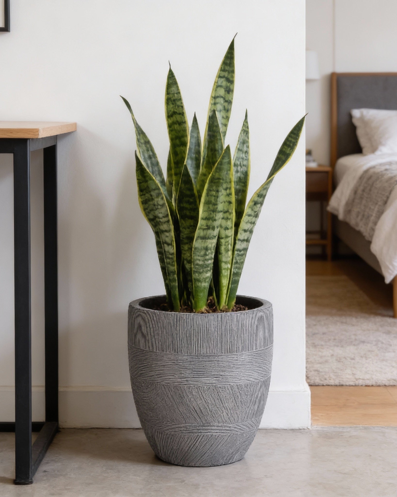 Fiber clay Pot LT14492 - 3S - Bostan Al Jazeera
