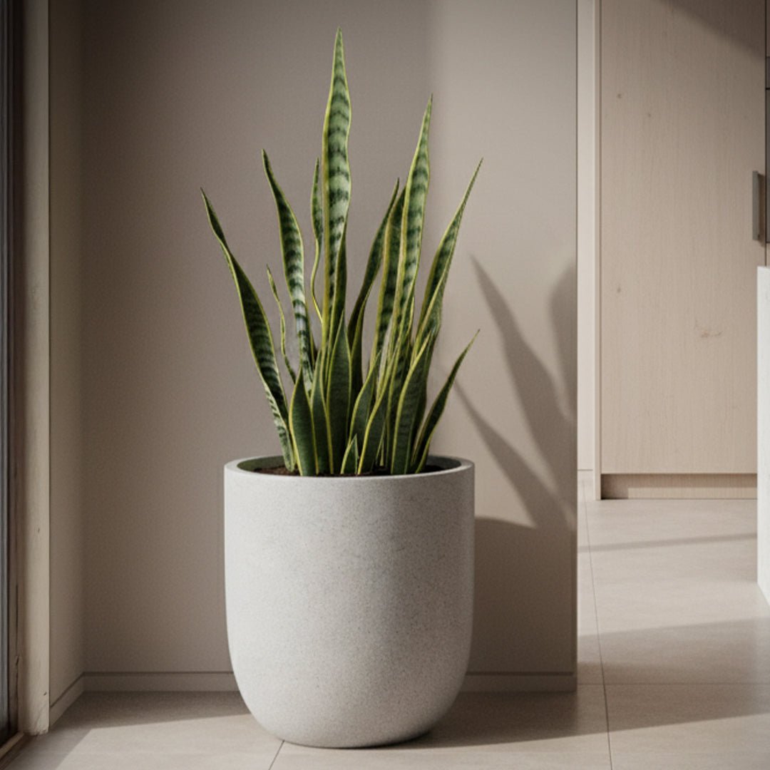 Fiberclay Pot DW161209 - Bostan Al Jazeera