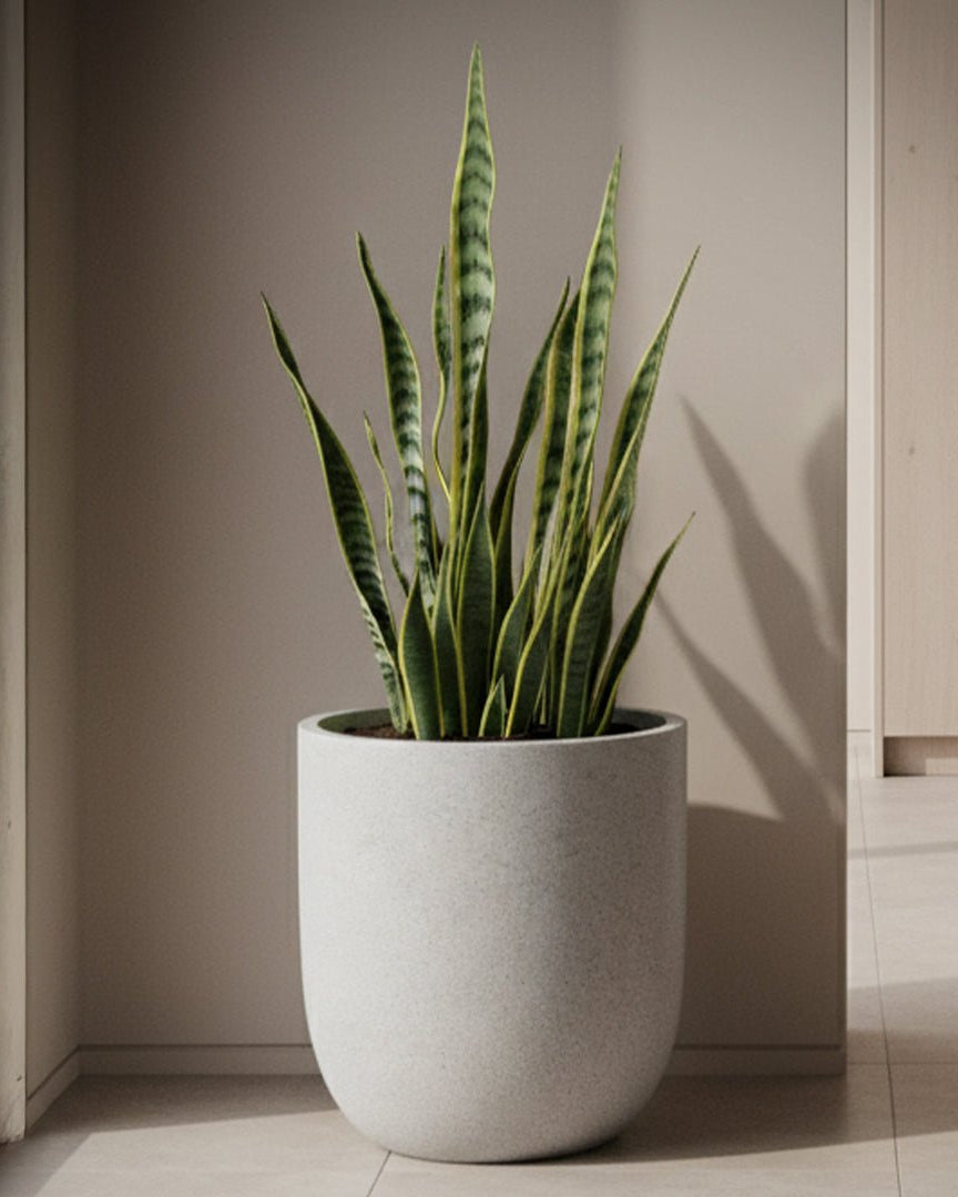 Fiberclay Pot DW161209 - Bostan Al Jazeera