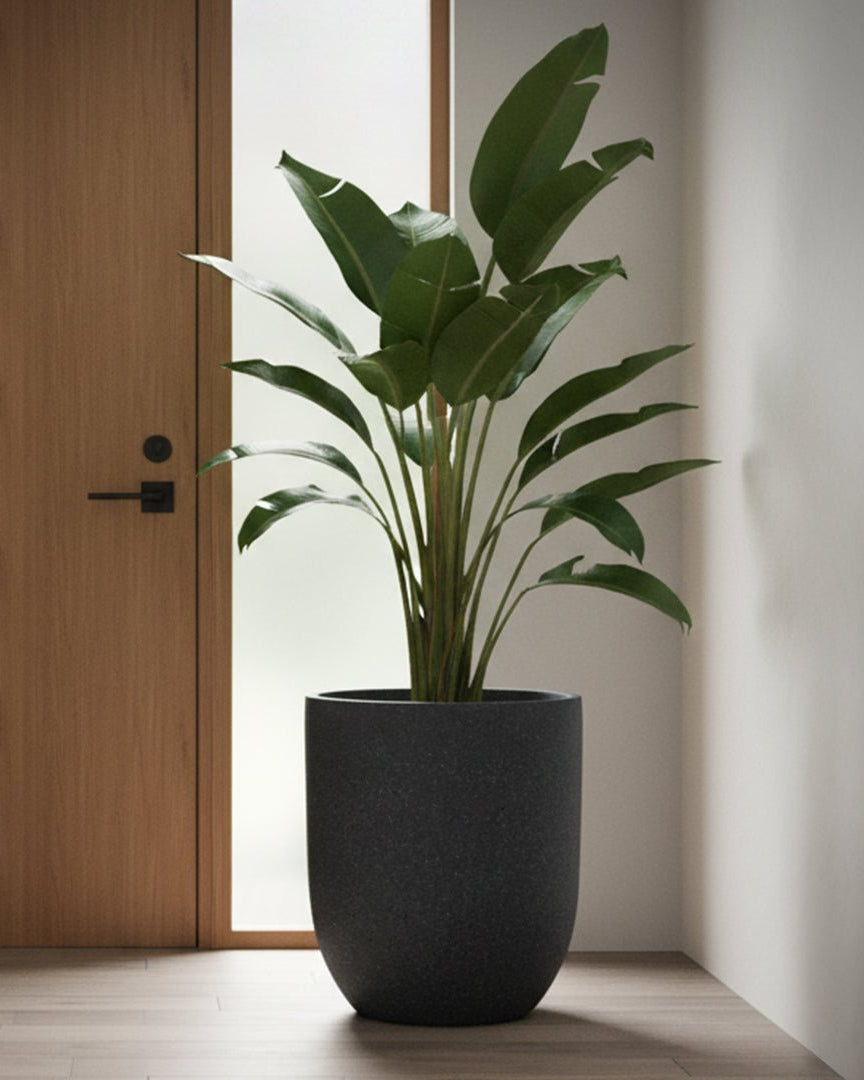 Fiberclay Pot DW161209 - Bostan Al Jazeera