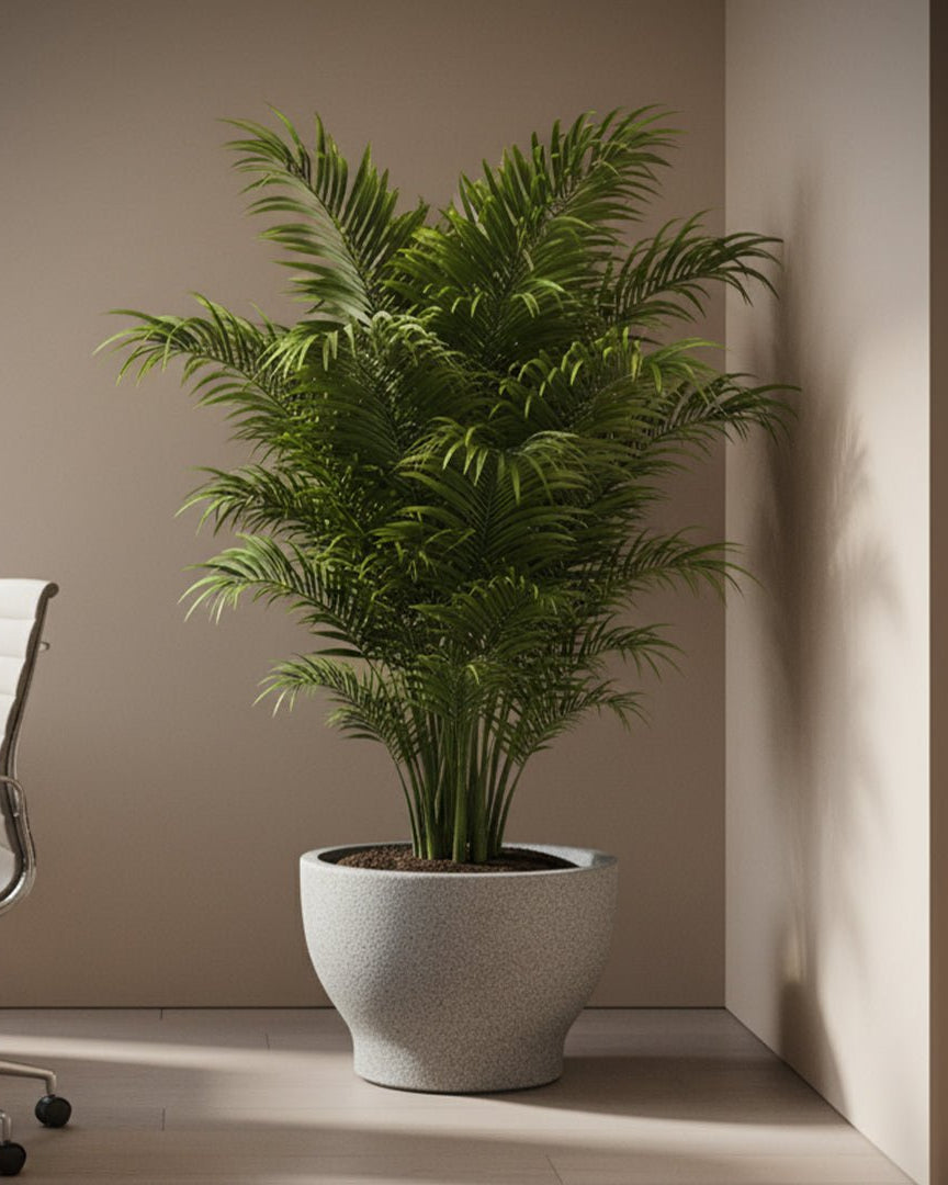 Fiberclay Pot DW209579 - Bostan Al Jazeera