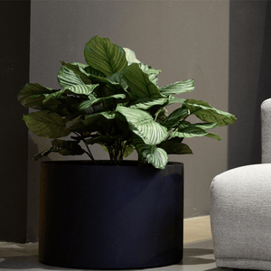 Grigio Cyllinder - Bostan Al Jazeera