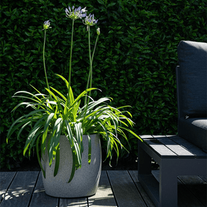 Grigio Modern Pot - Bostan Al Jazeera