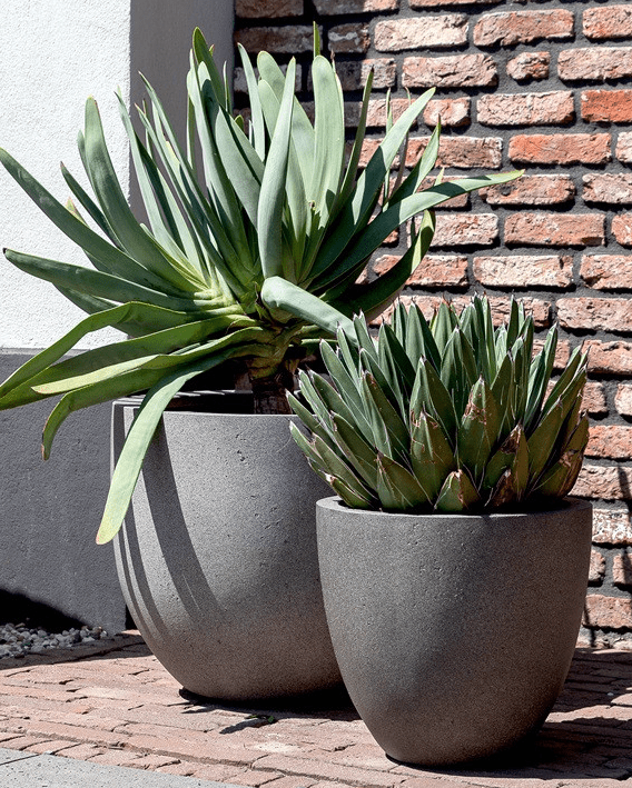 Grigio New Egg Pot - Bostan Al Jazeera