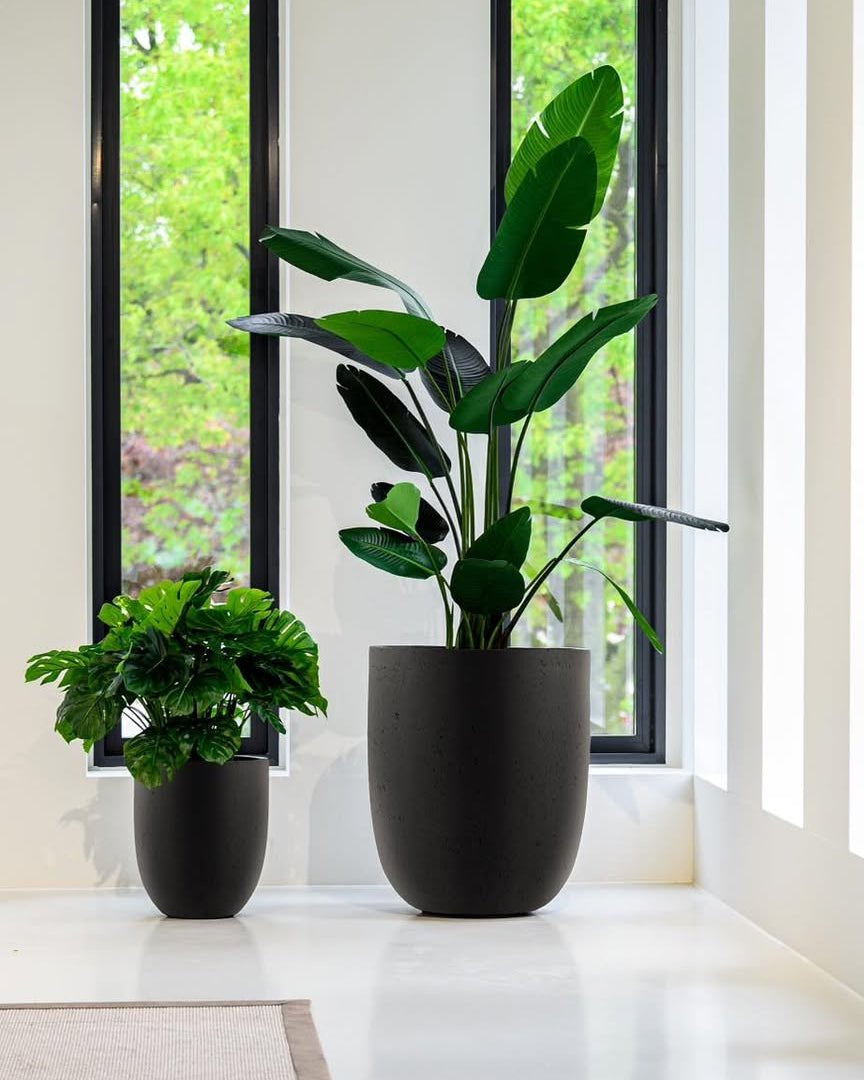 Grigio Tall Egg Pot - Bostan Al Jazeera