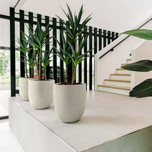 Grigio Tall Egg Pot - Bostan Al Jazeera