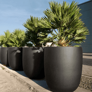 Grigio Tall Egg Pot - Bostan Al Jazeera