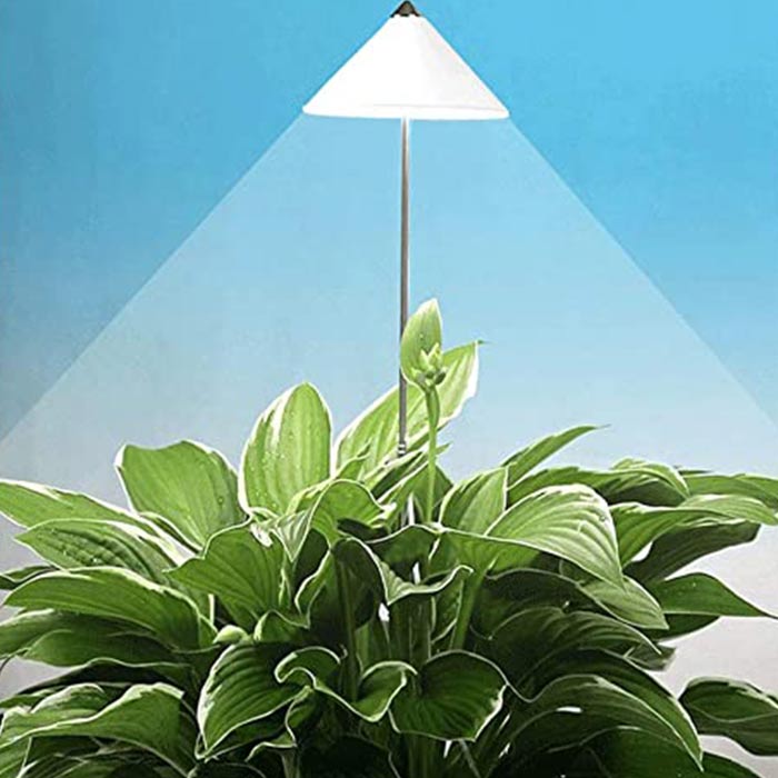 iSUN Pole Grow Light - Bostan Al Jazeera
