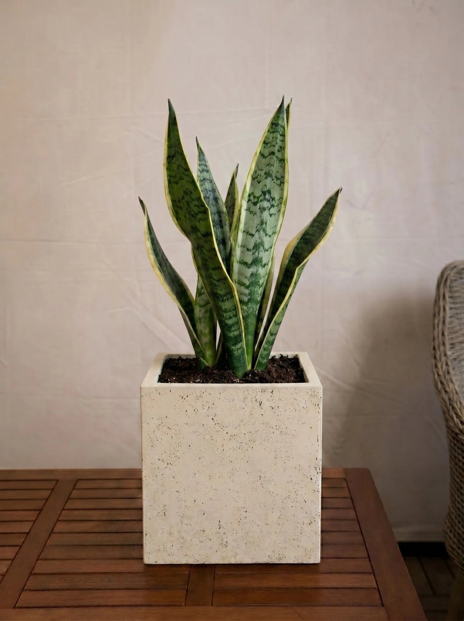 Luca Lifestyle Grigio Cube - Bostan