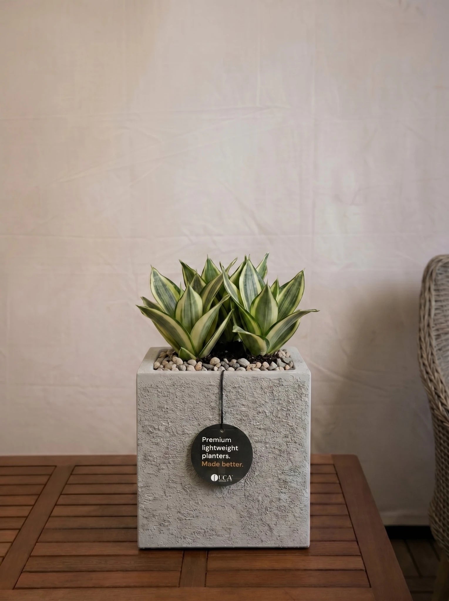 Luca Lifestyle Struttura Cube F5303 - Sale - Bostan