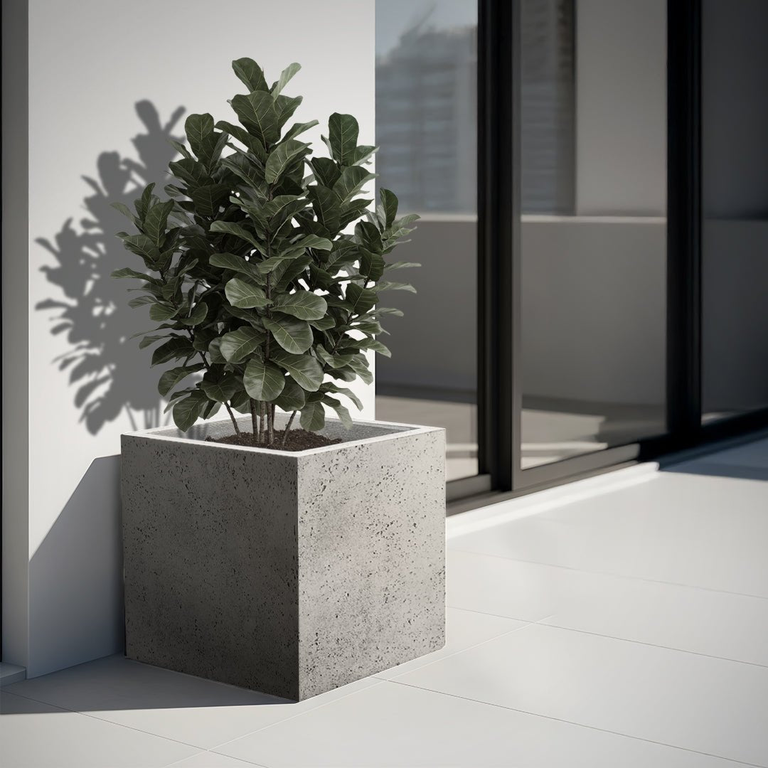 Luca Struttura Cube F5303 - Bostan Al Jazeera