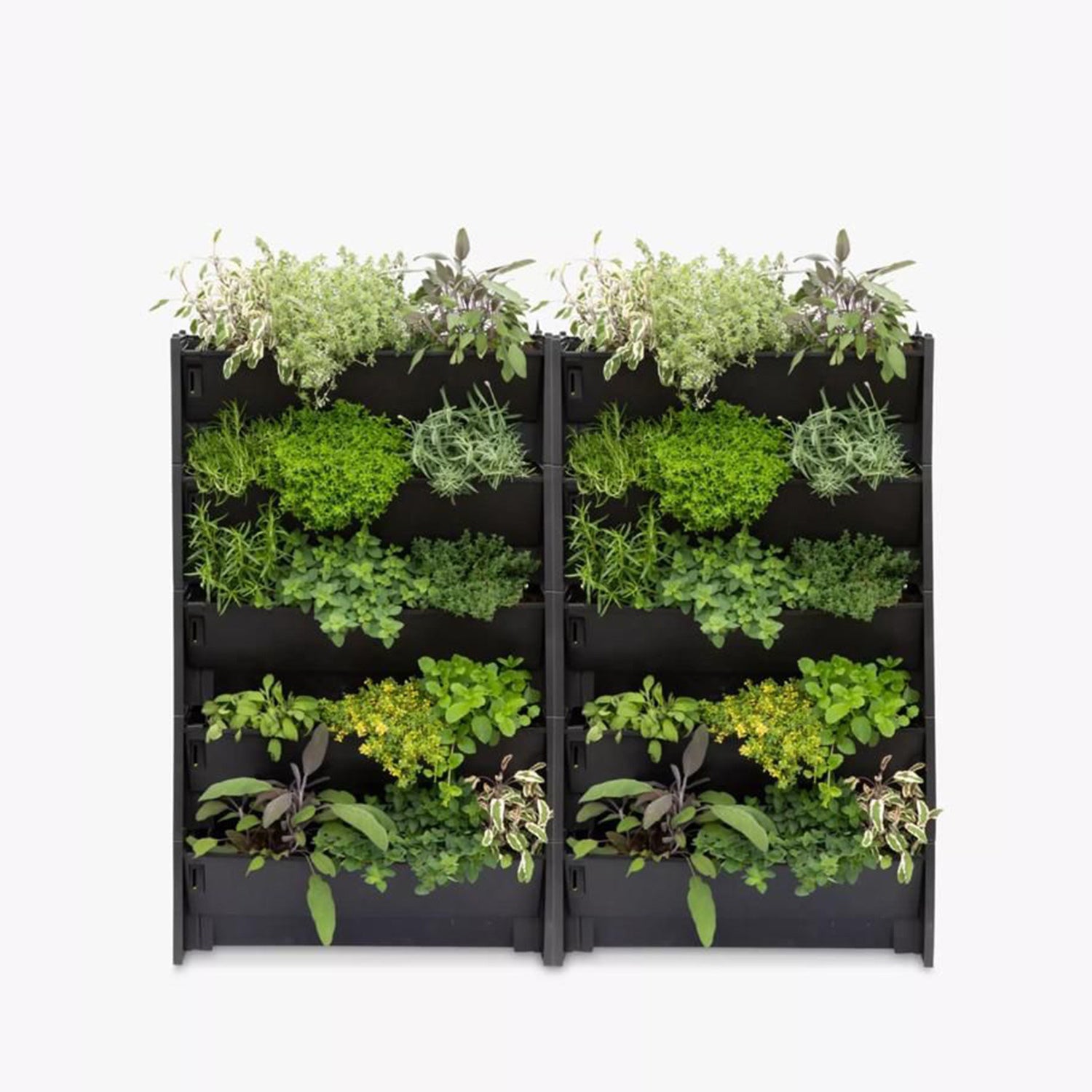 Plant Box Vertical Green Wall - Bostan Al Jazeera