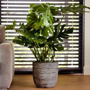 Planter Ball Rib NL - Bostan Al Jazeera