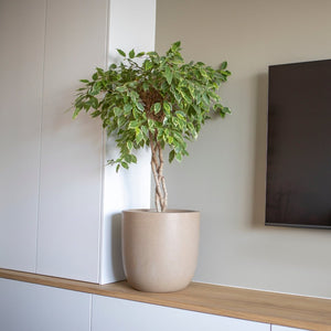 Planter Ball Waste Rib NL - Bostan Al Jazeera