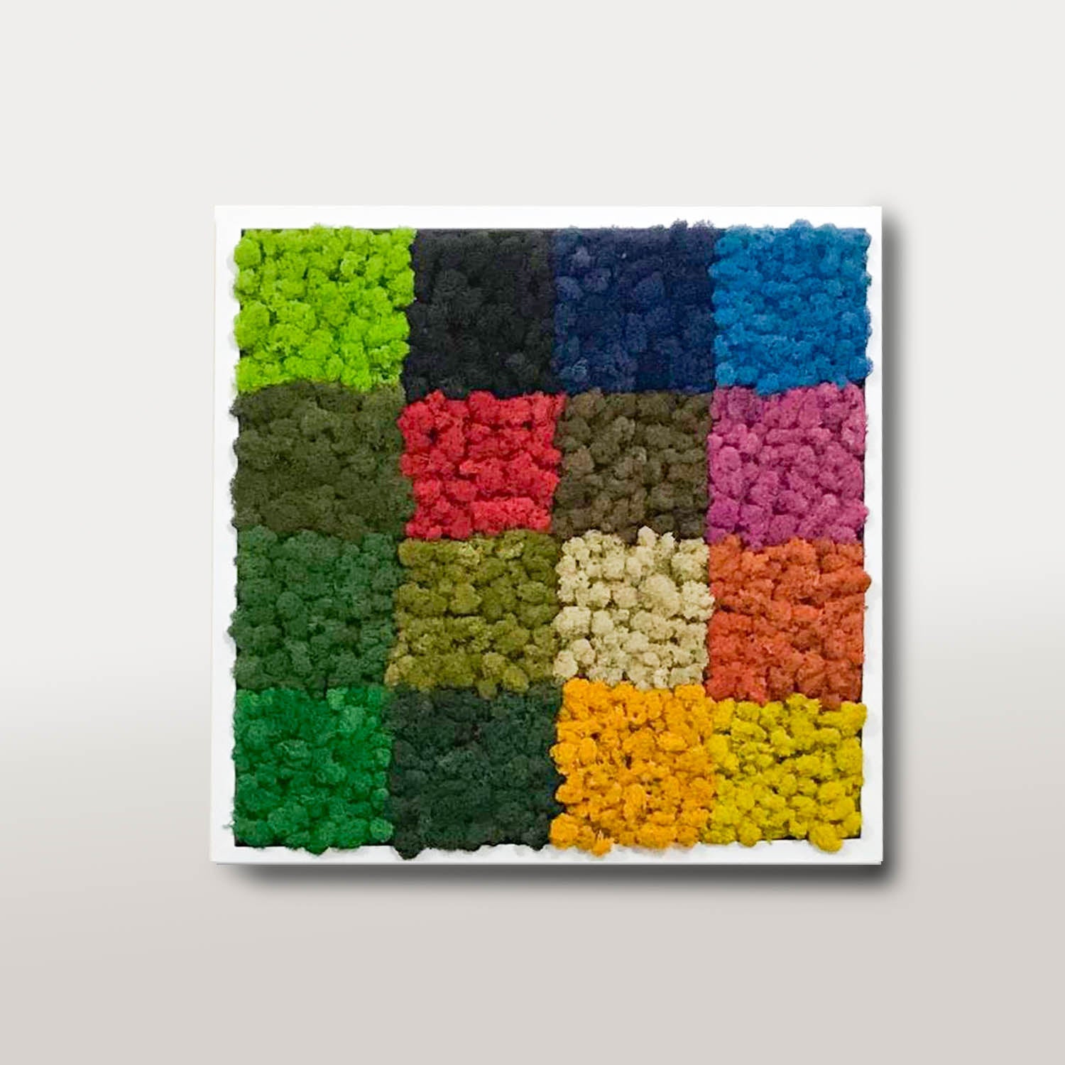 Preserved Reindeer Moss with frame mix color - Bostan Al Jazeera