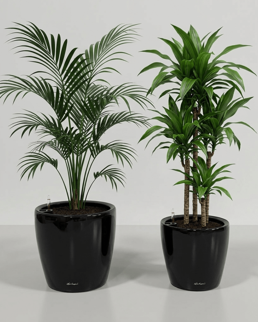 Self - watering Pot HG - 3104A - Bostan