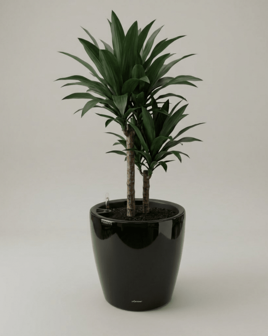 Self - watering Pot HG - 3104A - Bostan