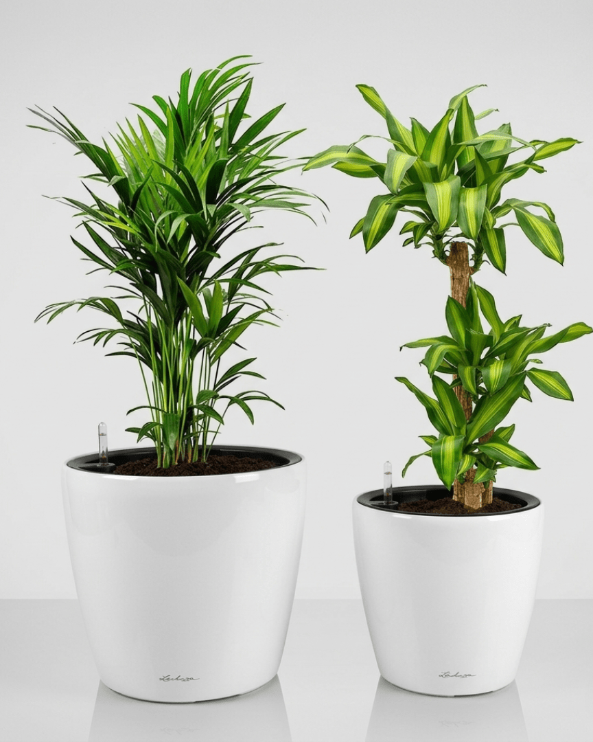 Self - watering Pot HG - 3104A - Bostan