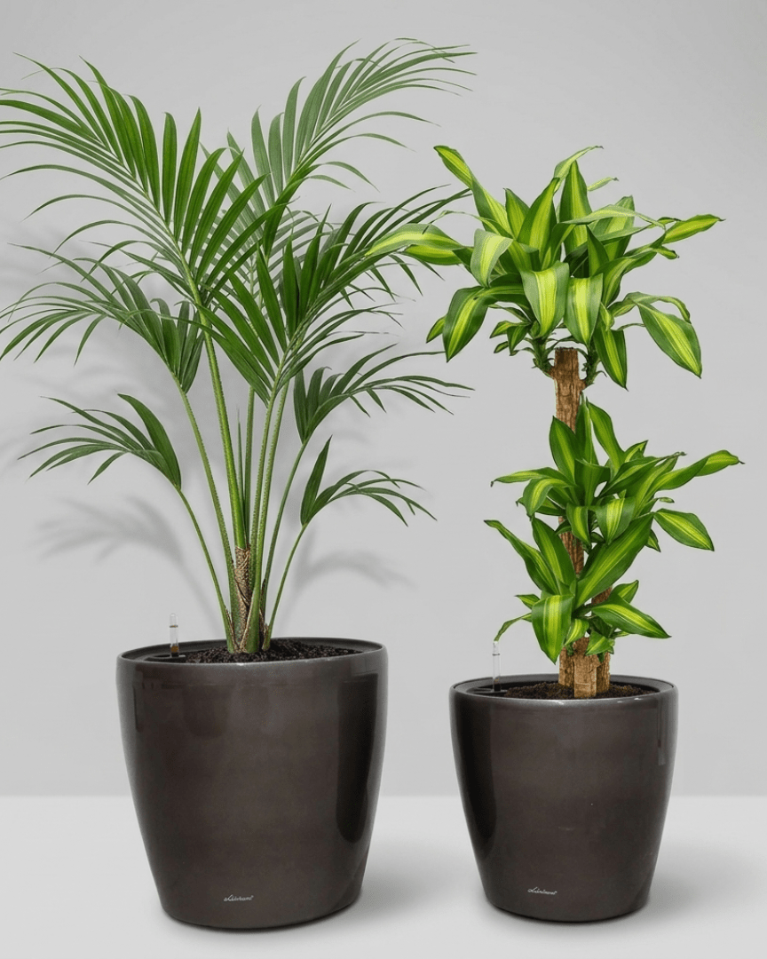 Self - watering Pot HG - 3104A - Bostan
