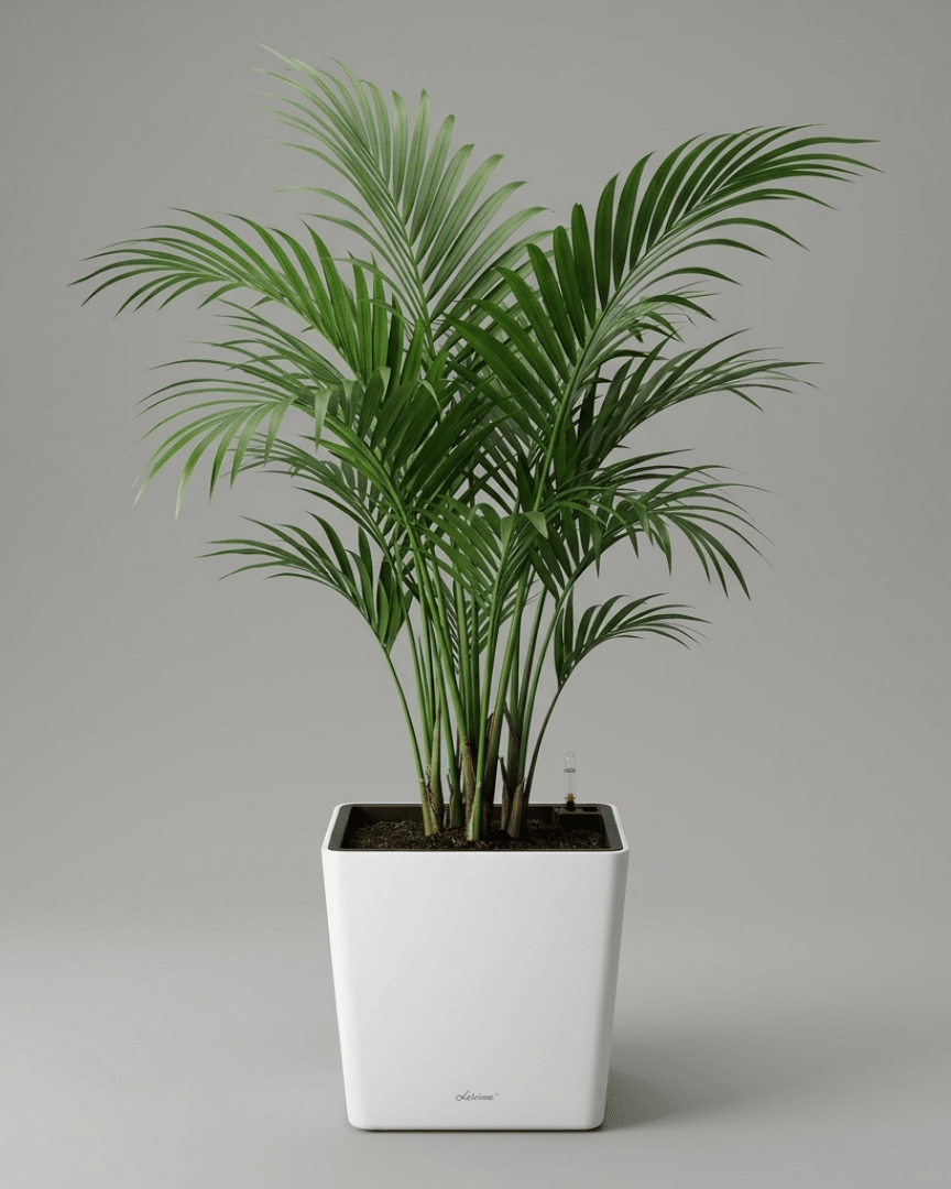 Self - watering Pot HG - 3702 - Bostan