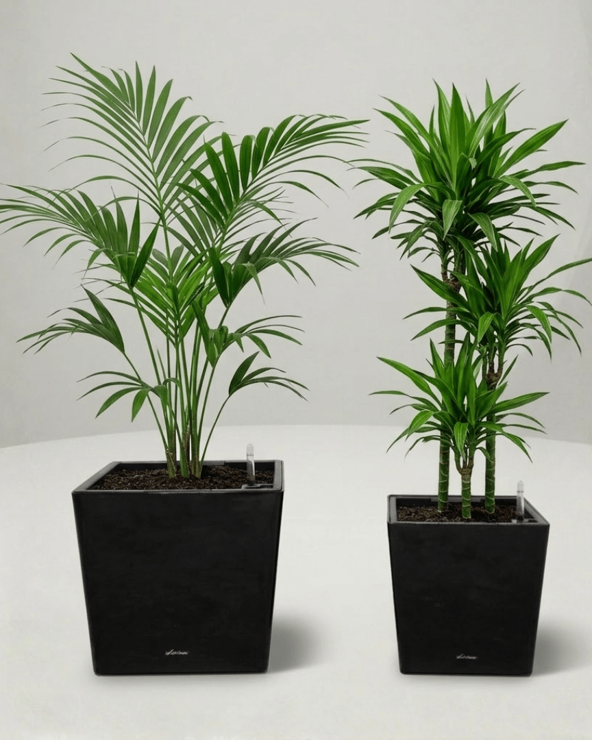 Self - watering Pot HG - 3702 - Bostan