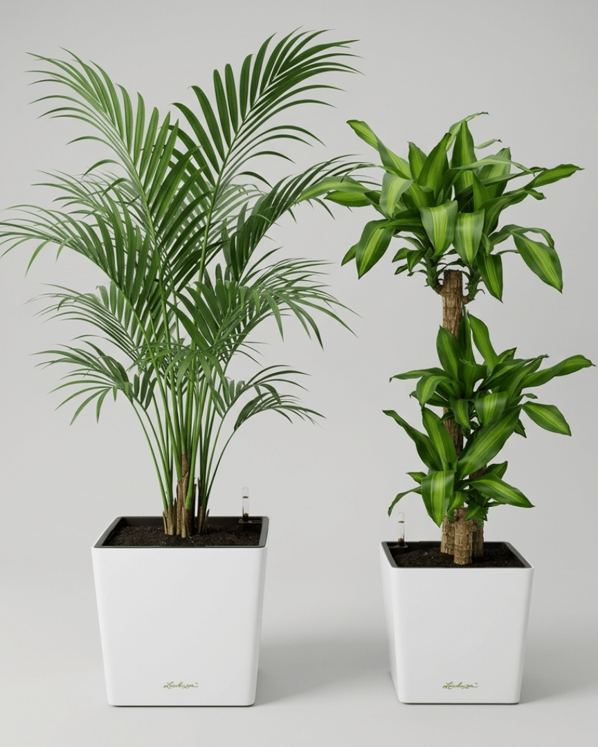 Self - watering Pot HG - 3702 - Bostan