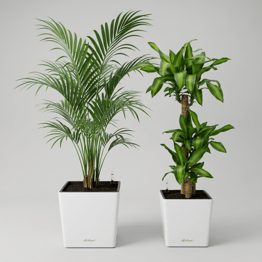 Self - watering Pot HG - 3702 - Bostan