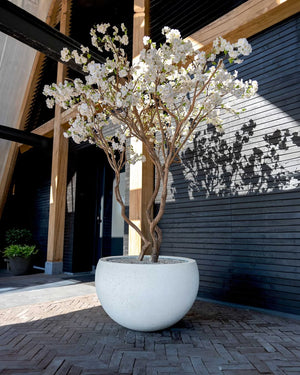 Terreno Elena - Bostan Al Jazeera