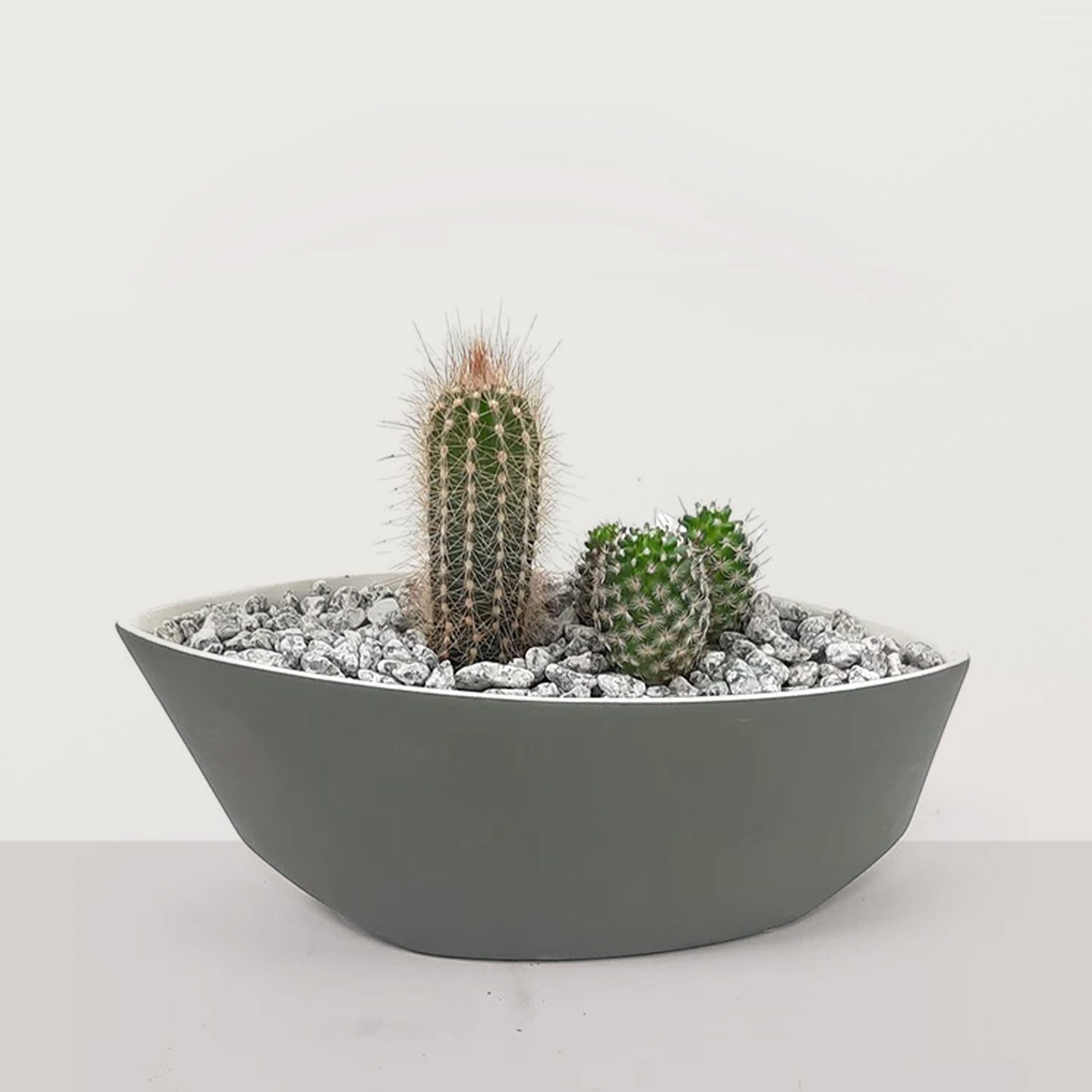 Thorny Haven - Bostan Al Jazeera